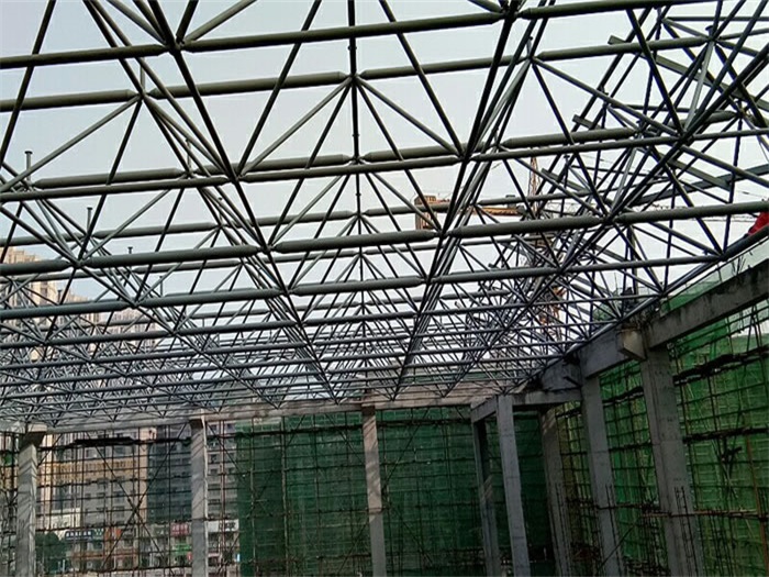 成都光谷第十一小学网架